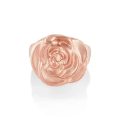 Marrow Fine Rings^Rose Signet